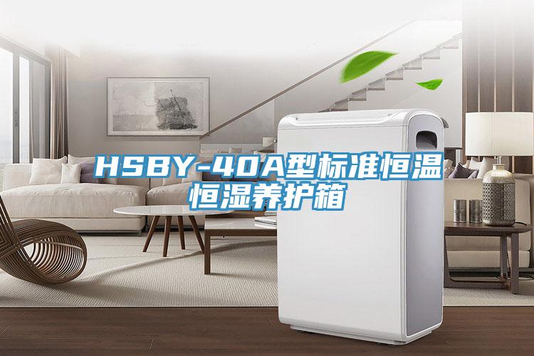 HSBY-40A型标准恒温恒湿养护箱