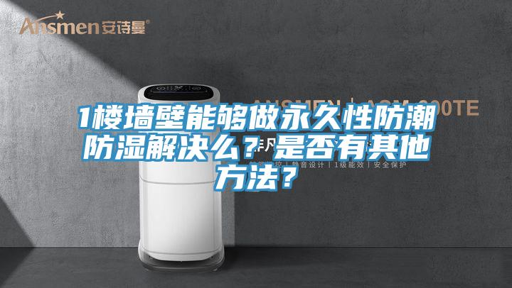1楼墙壁能够做永久性防潮防湿解决么？是否有其他方法？