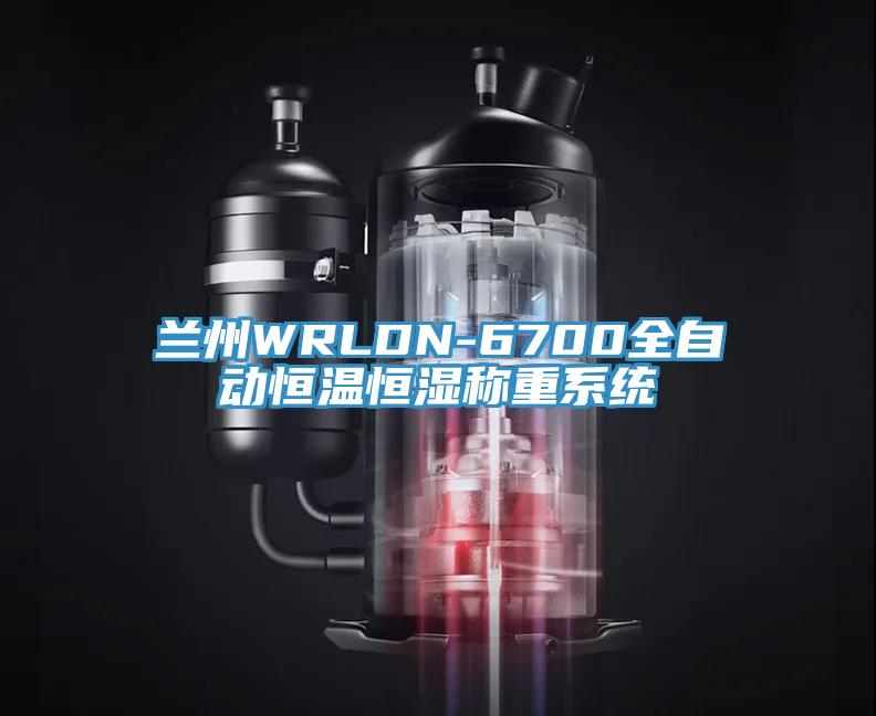兰州WRLDN-6700全自动恒温恒湿称重系统