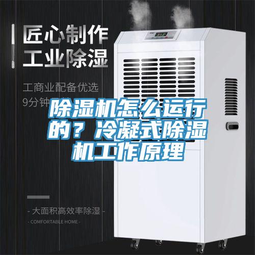 除湿机怎么运行的?冷凝式除湿机工作原理