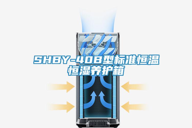 SHBY-40B型标准恒温恒湿养护箱