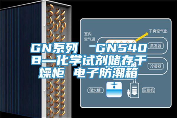 GN系列  GN540B—化学试剂储存干燥柜 电子防潮箱
