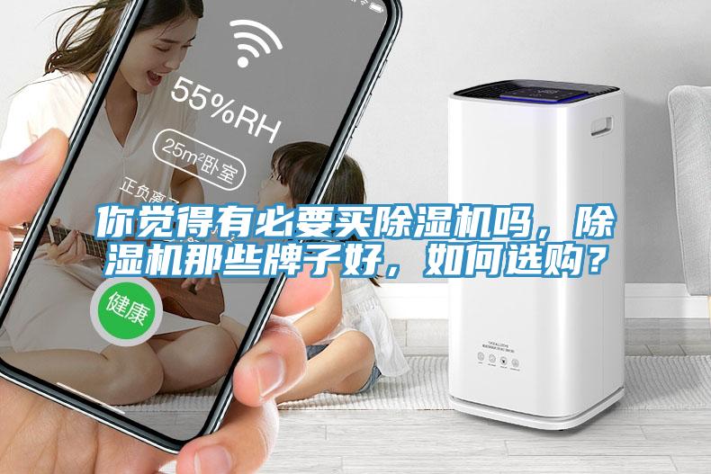 你觉得有必要买除湿机吗，除湿机那些牌子好，如何选购？