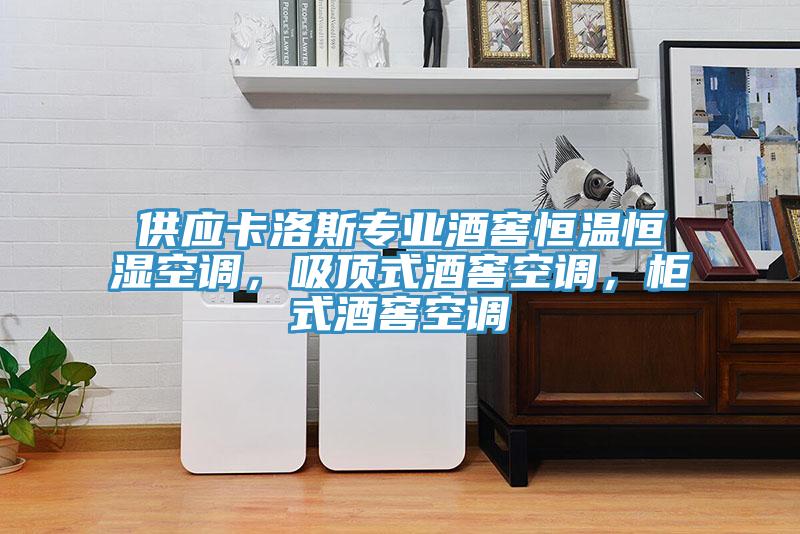 供应卡洛斯专业酒窖恒温恒湿空调，吸顶式酒窖空调，柜式酒窖空调
