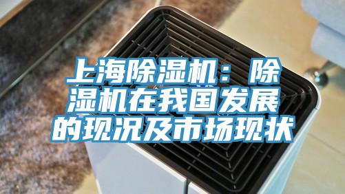 上海除湿机:除湿机在我国发展的现况及市场现状