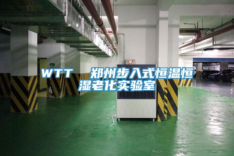 WTT  郑州步入式恒温恒湿老化实验室