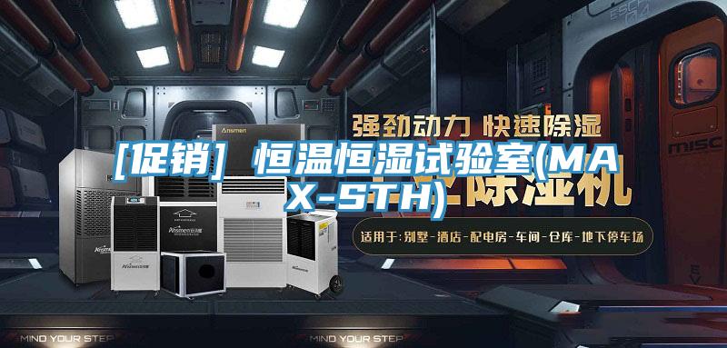 [促销] 恒温恒湿试验室(MAX-STH)