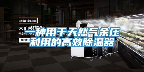一种用于天然气余压利用的高效除湿器