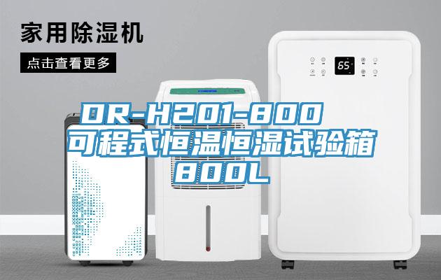 DR-H201-800  可程式恒温恒湿试验箱800L