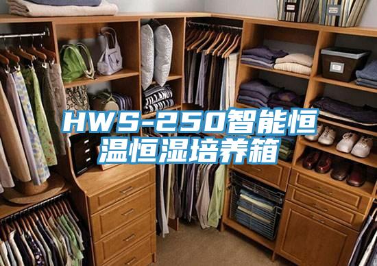 HWS-250智能恒温恒湿培养箱