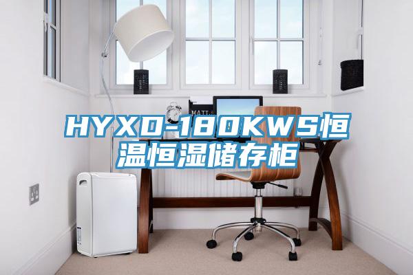 HYXD-180KWS恒温恒湿储存柜