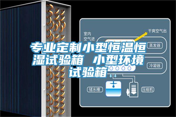 专业定制小型恒温恒湿试验箱 小型环境试验箱