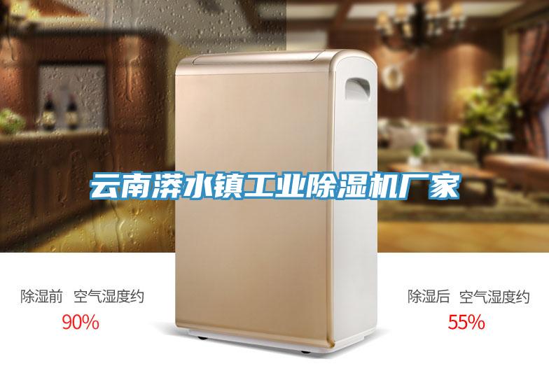 云南漭水镇工业除湿机厂家