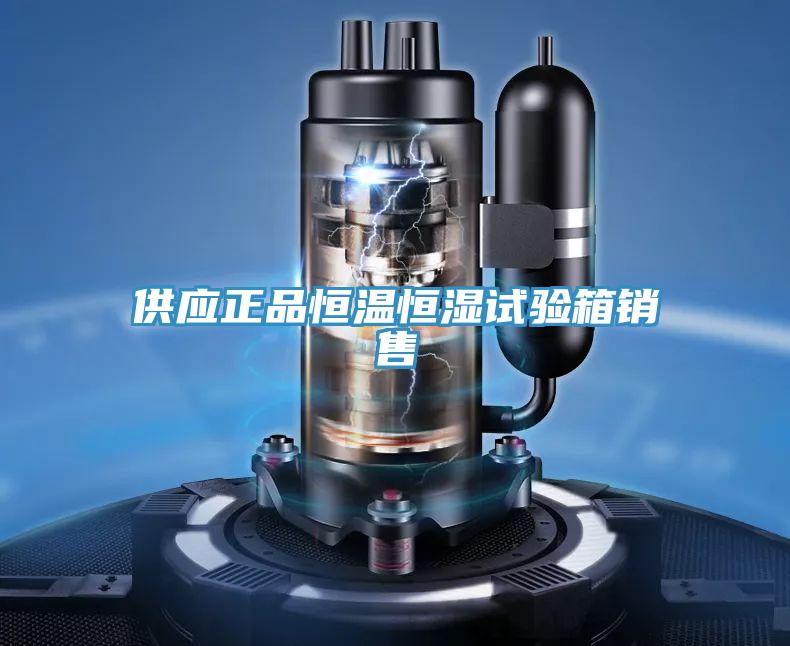 供应正品恒温恒湿试验箱销售