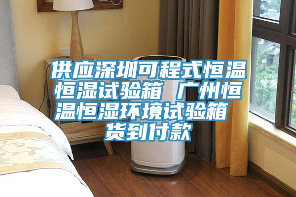 供应深圳可程式恒温恒湿试验箱 广州恒温恒湿环境试验箱 货到付款