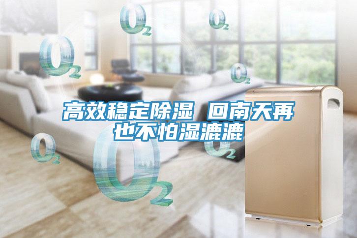 高效稳定除湿 回南天再也不怕湿漉漉