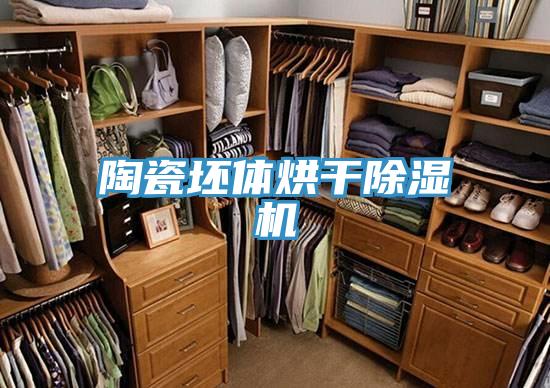 陶瓷坯体烘干除湿机