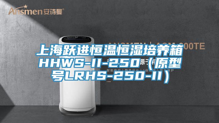 上海跃进恒温恒湿培养箱HHWS-II-250(原型号LRHS-250-II)