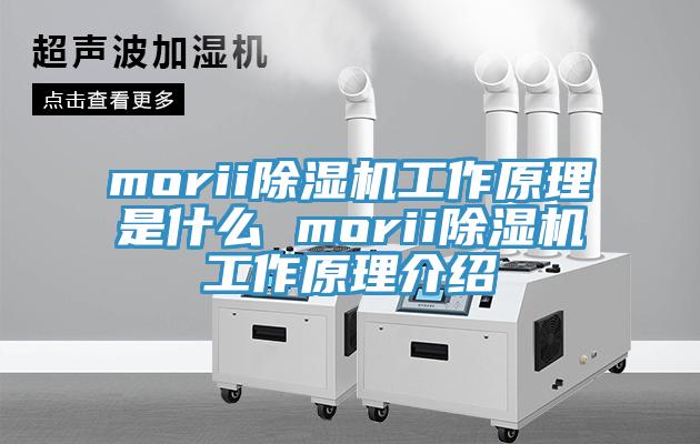 morii除湿机工作原理是什么 morii除湿机工作原理介绍