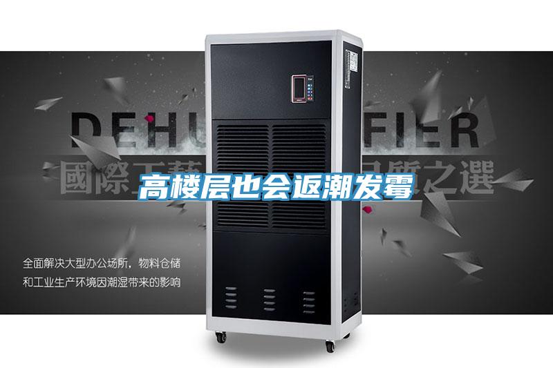 高楼层也会返潮发霉
