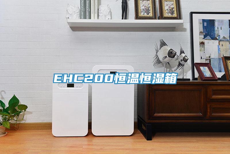EHC200恒温恒湿箱