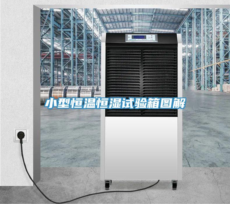 小型恒温恒湿试验箱图解