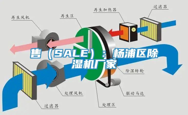 售（SALE）：杨浦区除湿机厂家