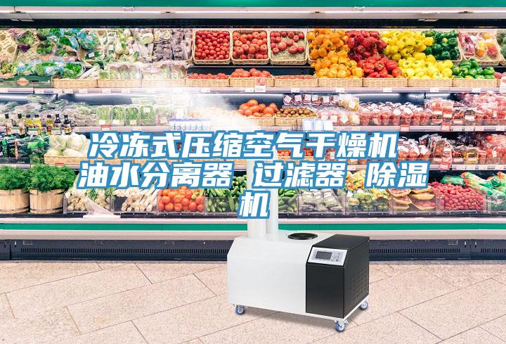 冷冻式压缩空气干燥机 油水分离器 过滤器 除湿机