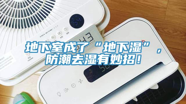 地下室成了“地下湿”，防潮去湿有妙招！