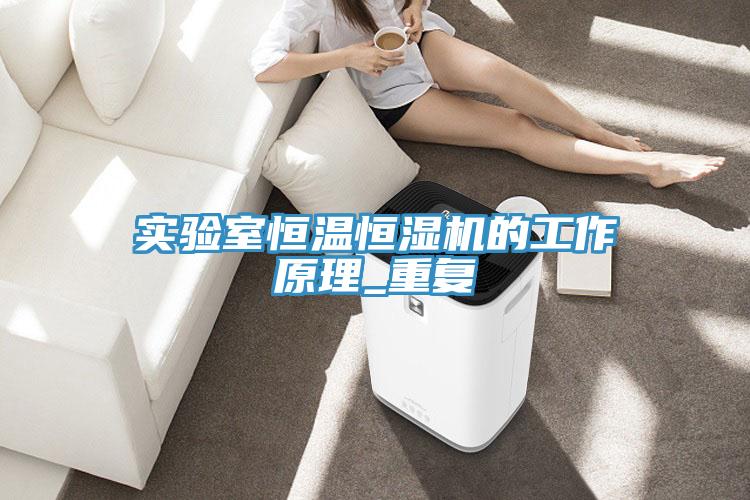 实验室恒温恒湿机的工作原理_重复
