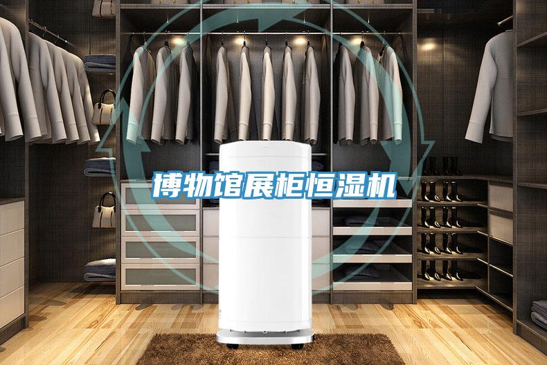 博物馆展柜恒湿机