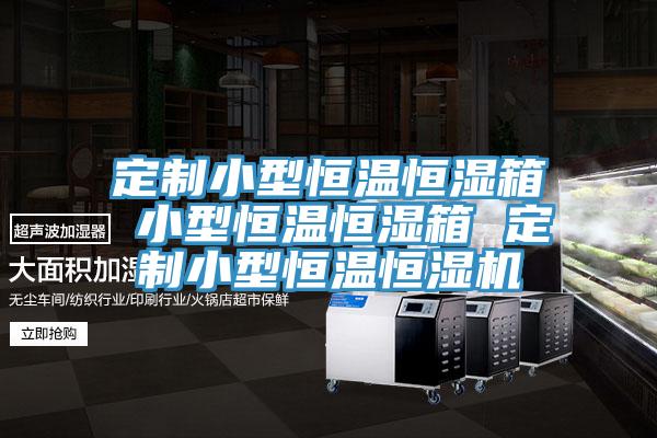 定制小型恒温恒湿箱 小型恒温恒湿箱 定制小型恒温恒湿机