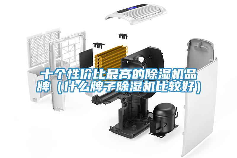 十个性价比最高的除湿机品牌（什么牌子除湿机比较好）