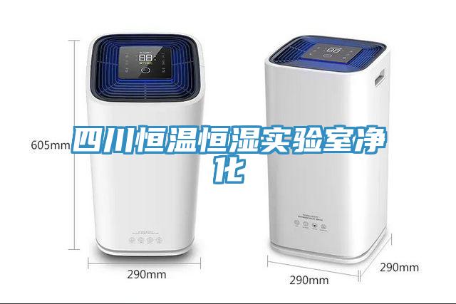 四川恒温恒湿实验室净化