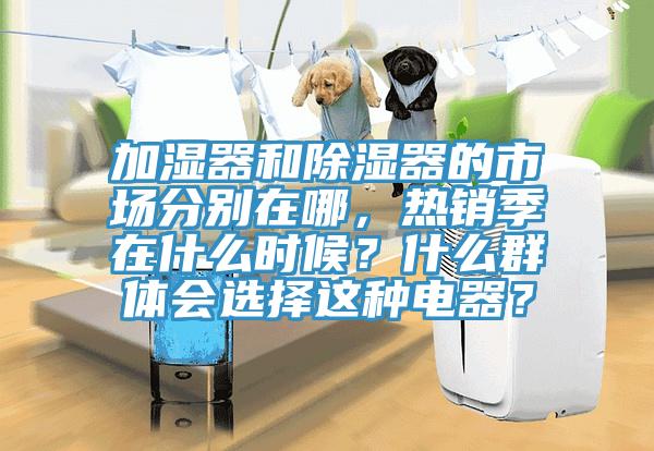 加湿器和除湿器的市场分别在哪，热销季在什么时候？什么群体会选择这种电器？
