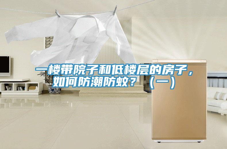 一楼带院子和低楼层的房子，如何防潮防蚊？（一）