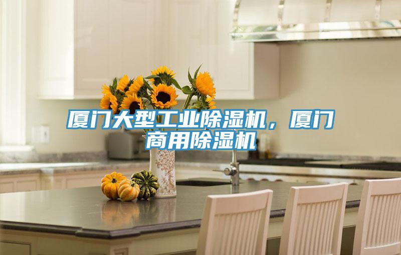 厦门大型工业除湿机，厦门商用除湿机