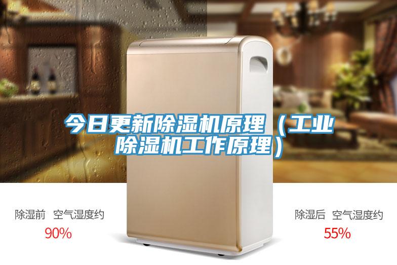 今日更新除湿机原理（工业除湿机工作原理）