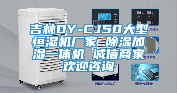 吉林DY-CJ50大型恒湿机厂家 除湿加湿一体机 诚信商家欢迎咨询