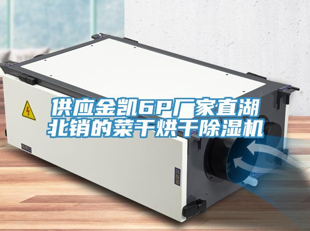 供应金凯6P厂家直湖北销的菜干烘干除湿机
