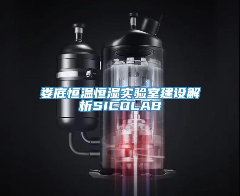 娄底恒温恒湿实验室建设解析SICOLAB
