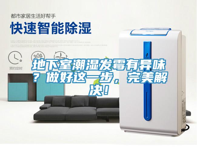 地下室潮湿发霉有异味？做好这一步，完美解决！