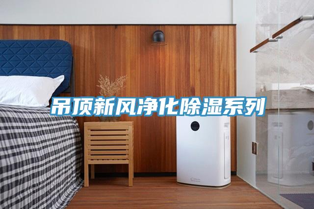 吊顶新风净化除湿系列