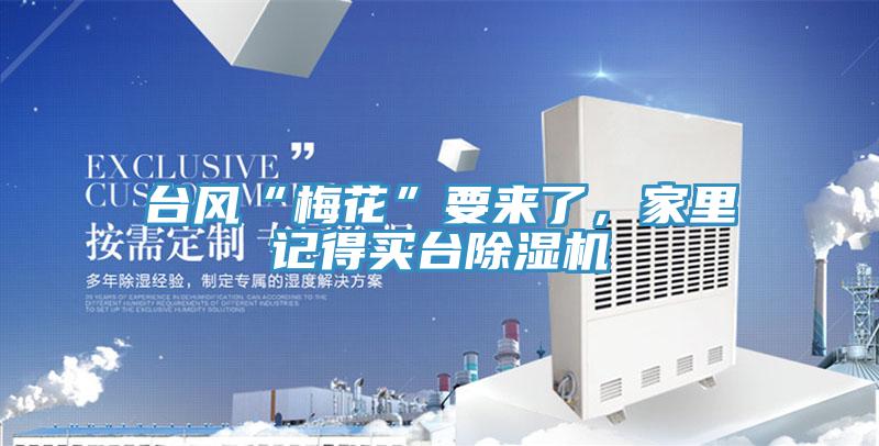 台风“梅花”要来了,家里记得买台除湿机