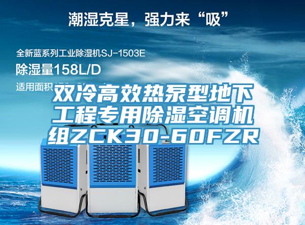 双冷高效热泵型地下工程专用除湿空调机组ZCK30-60FZR