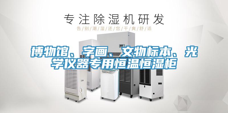 博物馆、字画、文物标本、光学仪器专用恒温恒湿柜