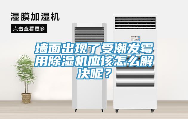 墙面出现了受潮发霉用除湿机应该怎么解决呢?