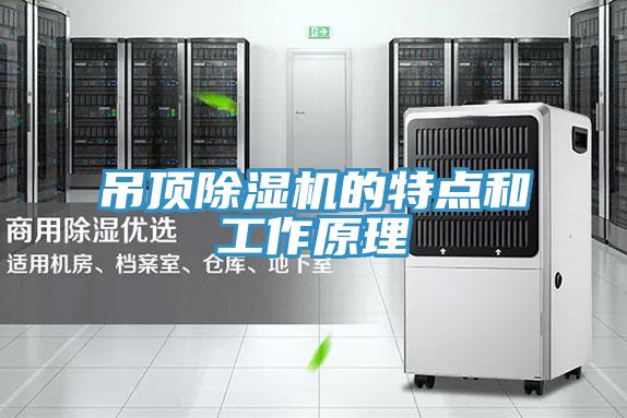 吊顶除湿机的特点和工作原理