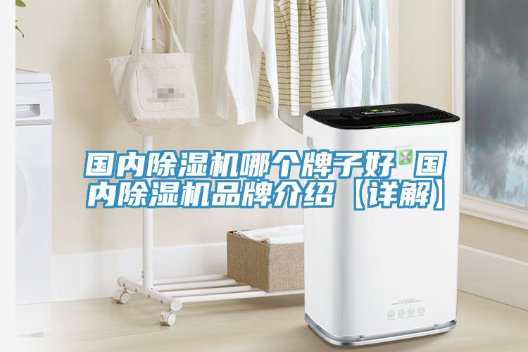 国内除湿机哪个牌子好 国内除湿机品牌介绍【详解】