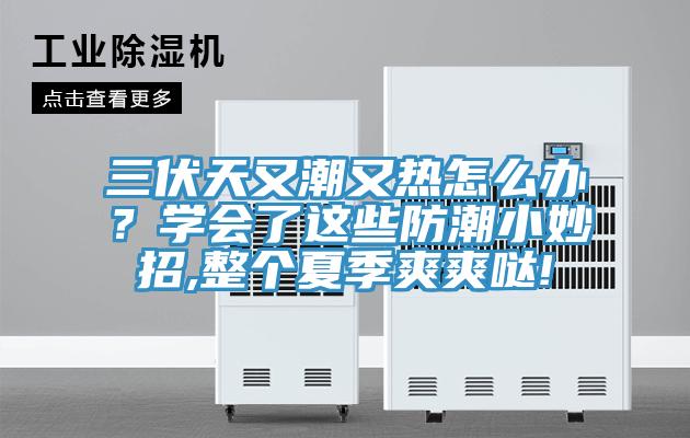 三伏天又潮又热怎么办?学会了这些防潮小妙招,整个夏季爽爽哒!